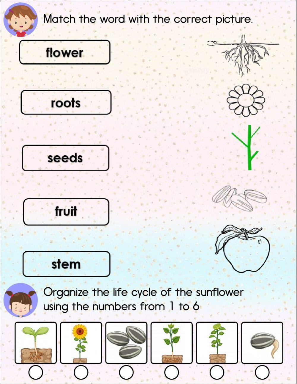 Grade 1 Science Worksheets Fun And Engaging Activities For Young Learners Grade 1 Science Worksheets Fun And Engaging Activities For Young Learners