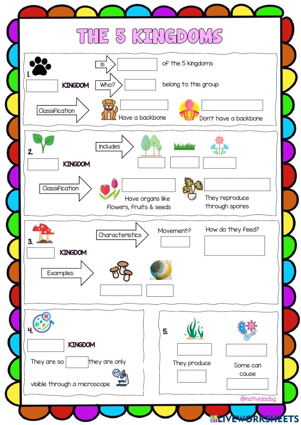 Kingdom Classification Worksheet Domains Kingdoms Classification
