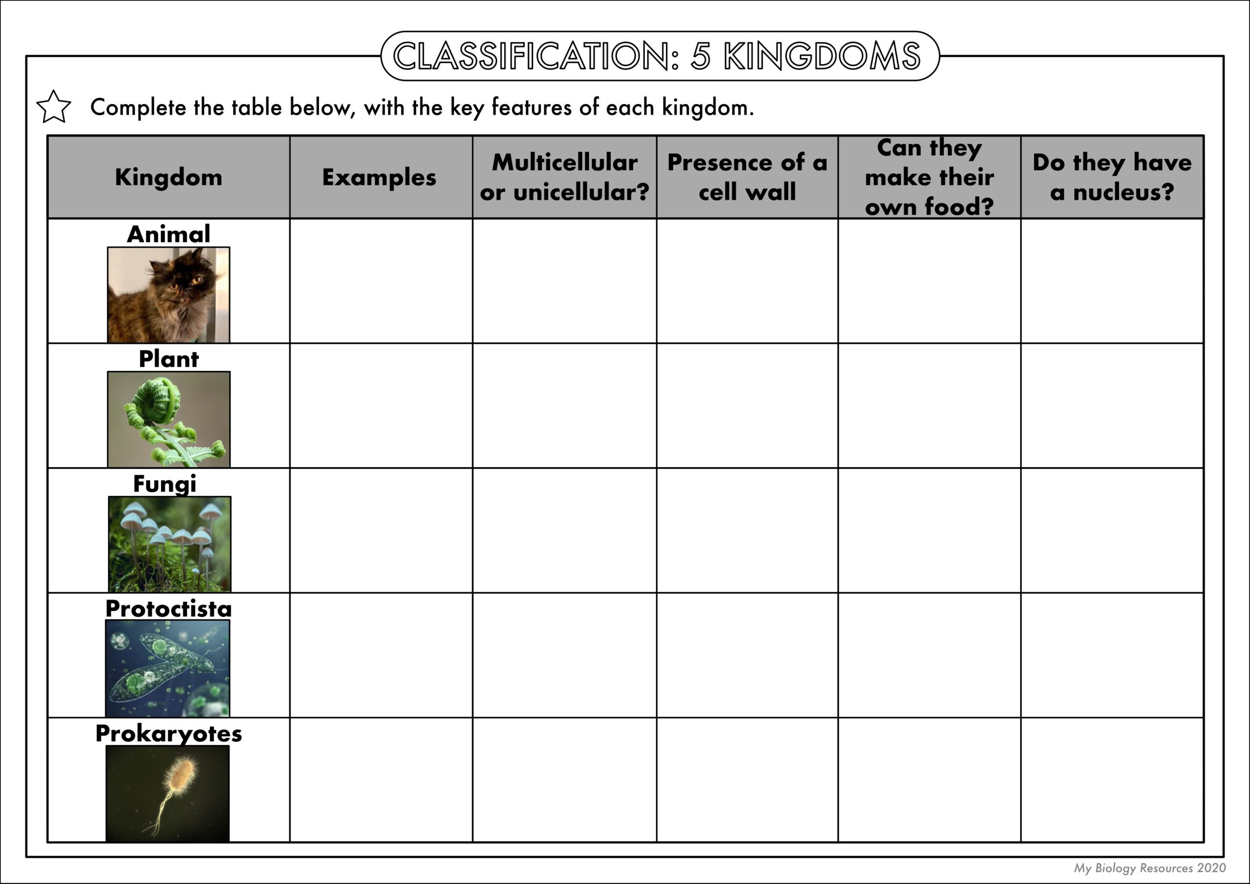 Kingdom Classification Worksheet Kingdom Classification Worksheet