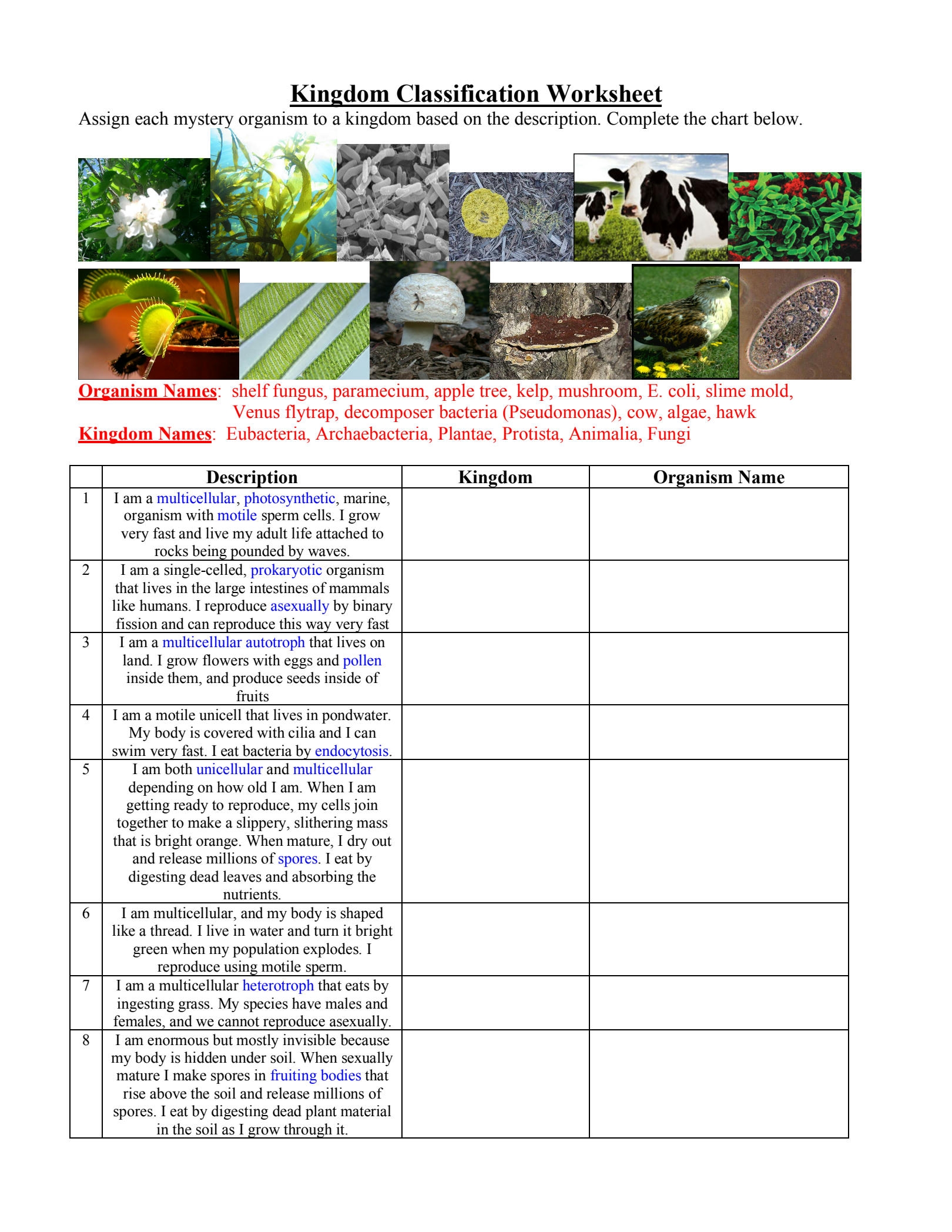 Kingdom Classification Worksheet Use Techn doc Kingdom Kingdom Classification Worksheet Use Techn doc Kingdom