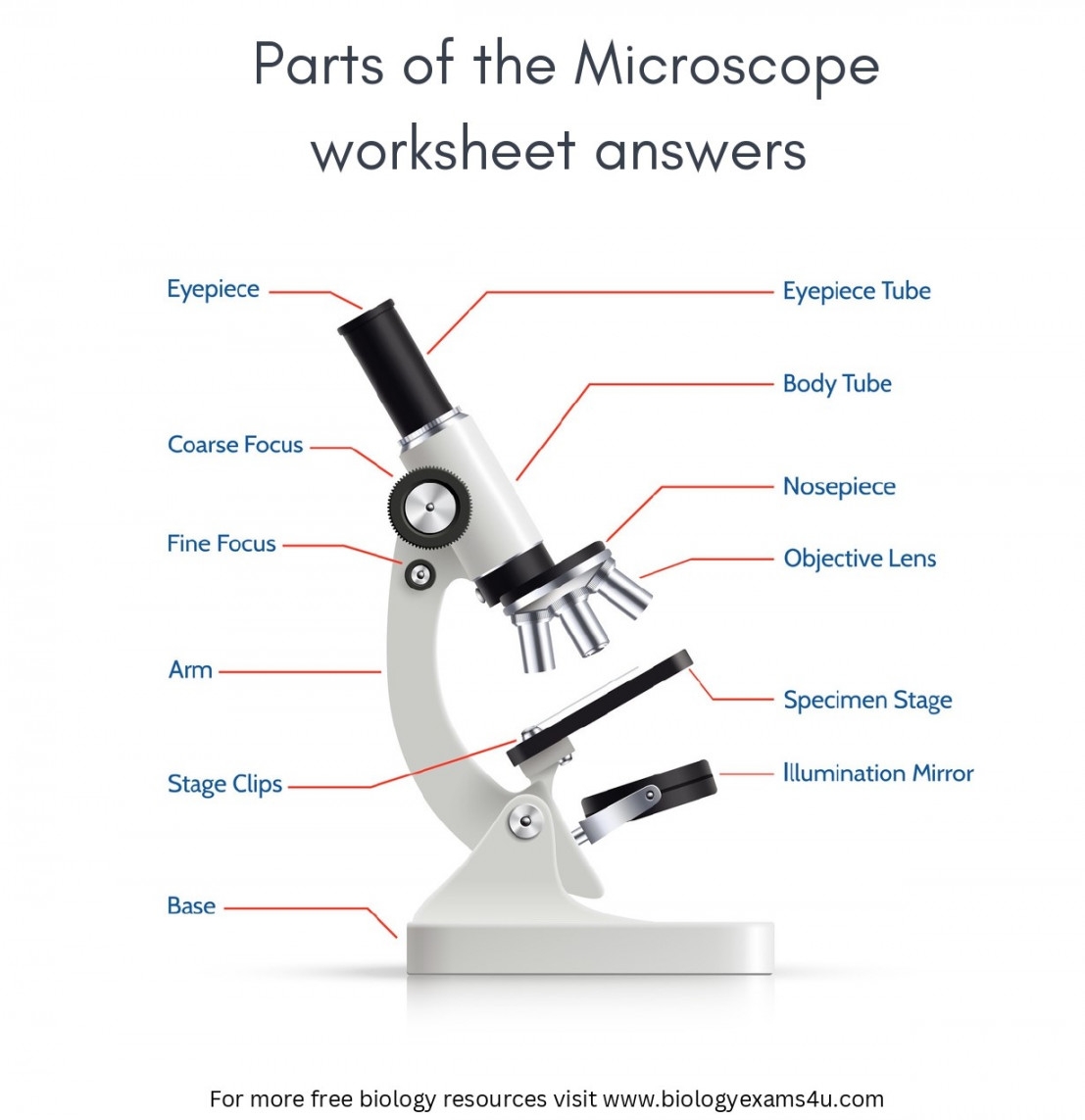 Label The Parts Of A Microscope