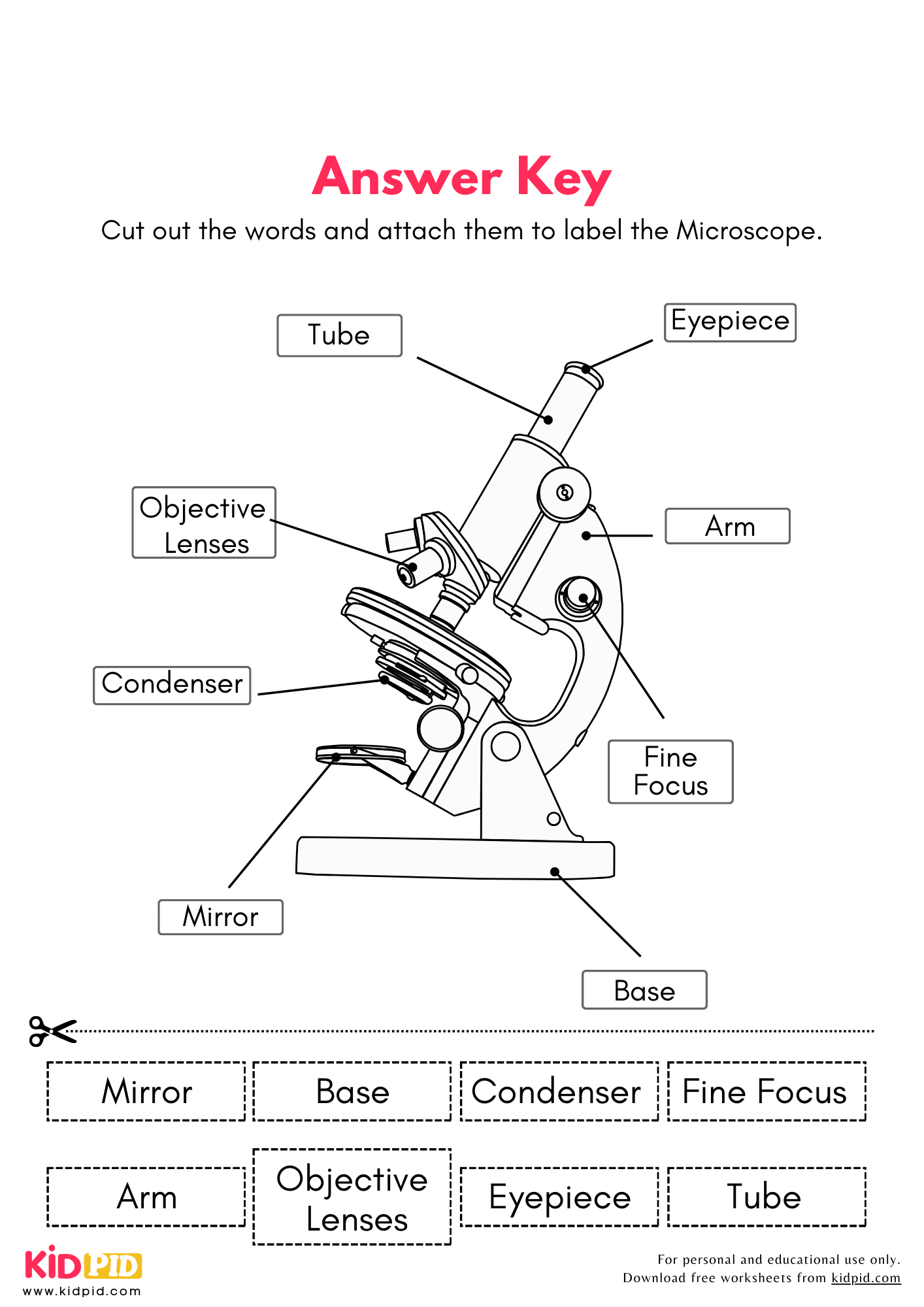 Label The Parts Of Microscope Science Worksheet Kidpid