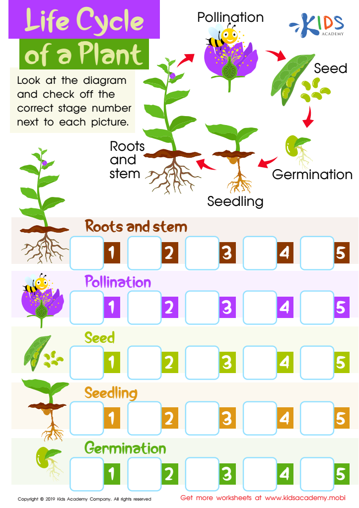 Life Cycle Of A Plant Free Printable Worksheets For Kindergarten 