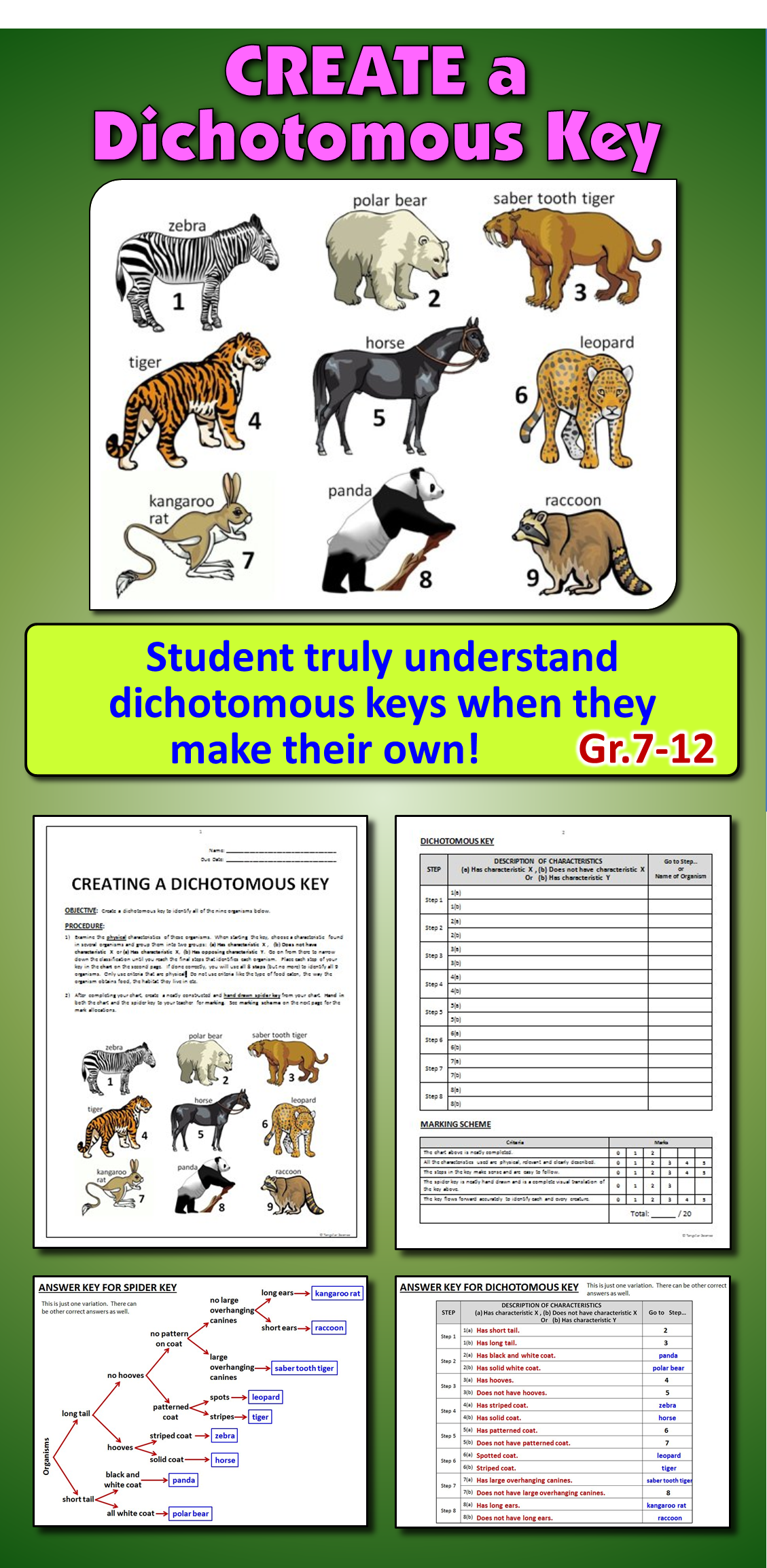 Make A Dichotomous Key Worksheet Dichotomous Key To Identify