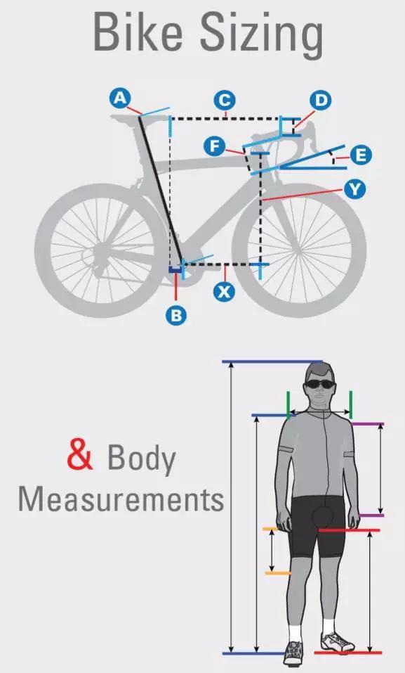 Measure Bicycle Frame Size Online
