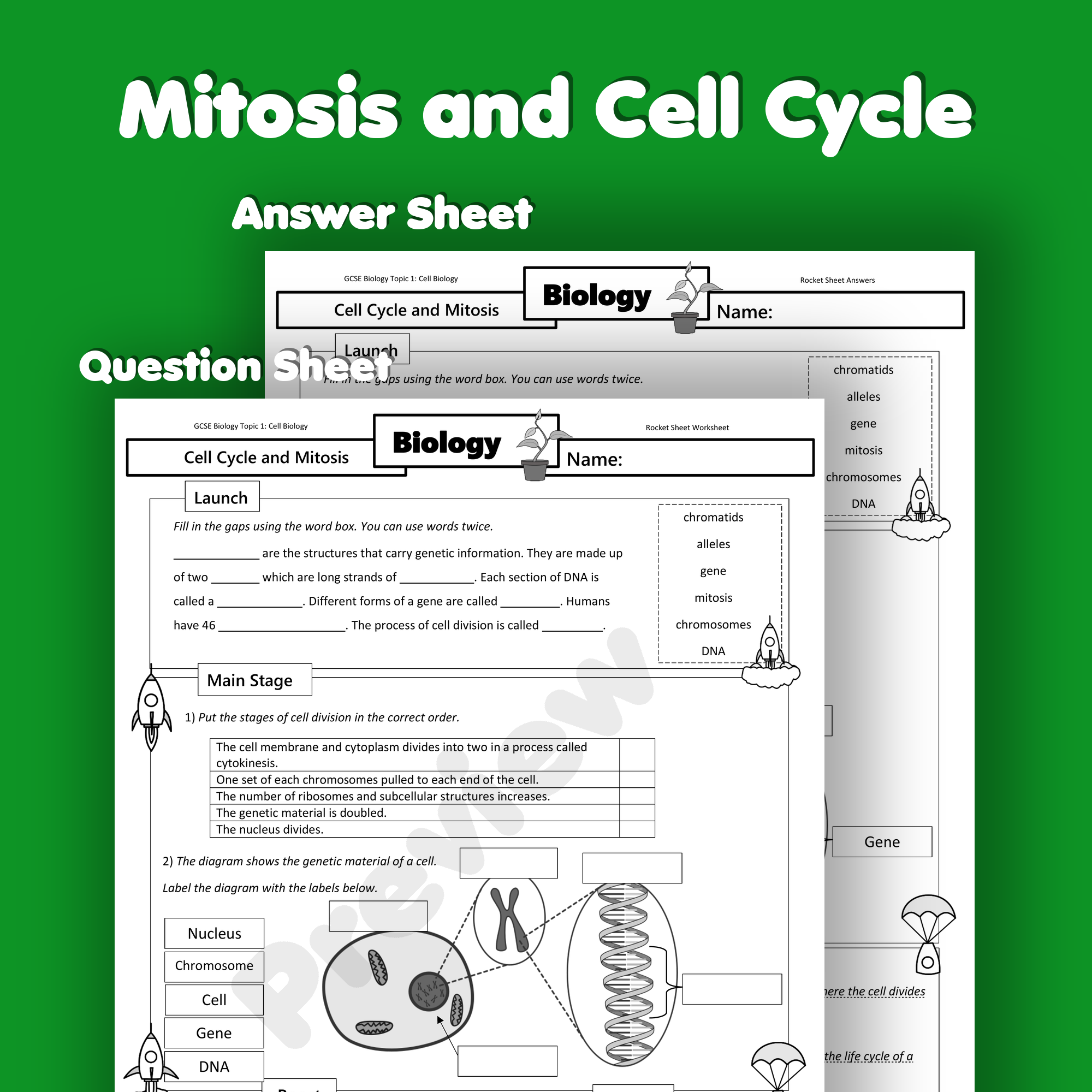 Mitosis And Cell Cycle Worksheet Worksheets Library Mitosis And Cell Cycle Worksheet Worksheets Library
