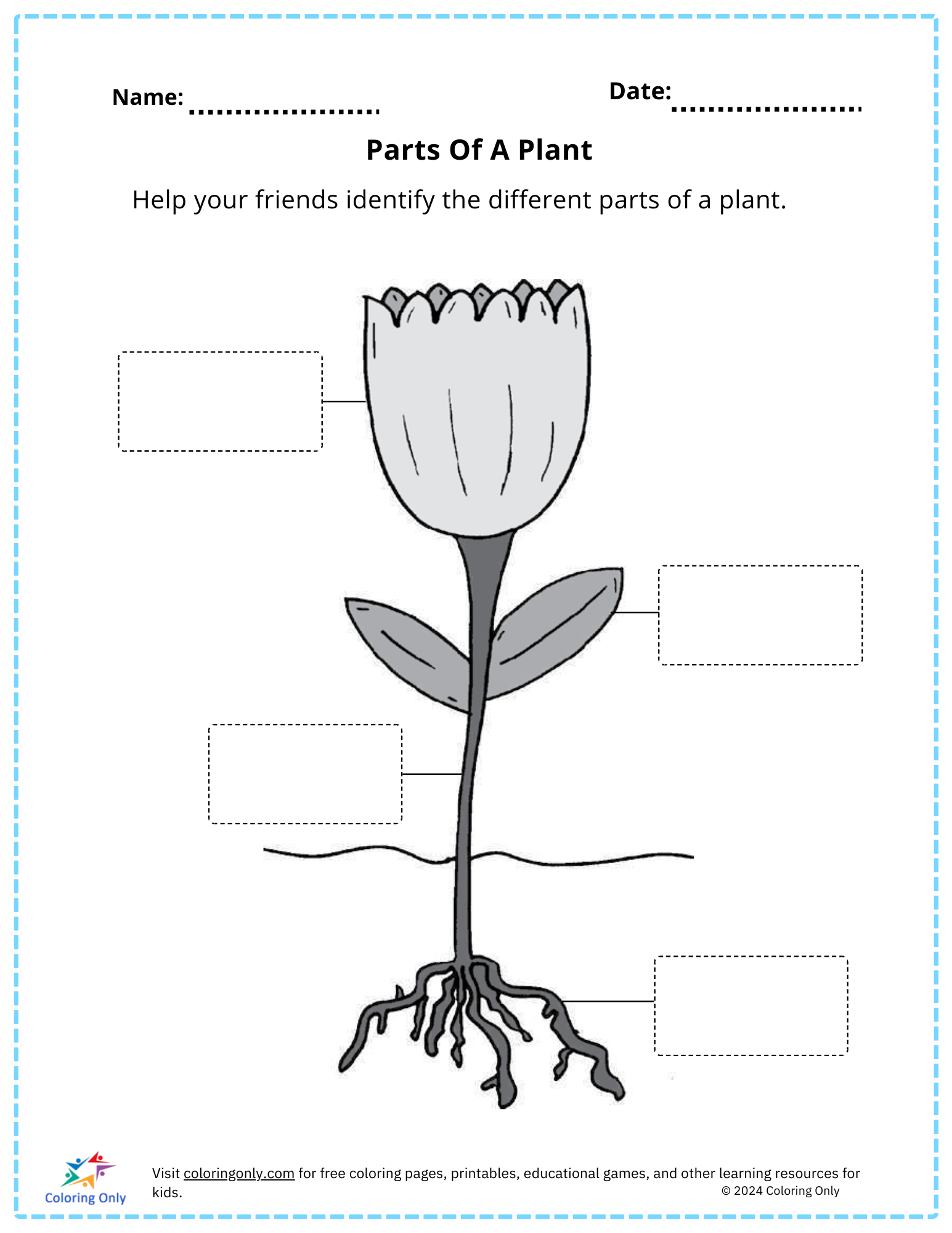 Parts Of A Plant Free Printable Worksheet Parts Of A Plant Free Printable Worksheet