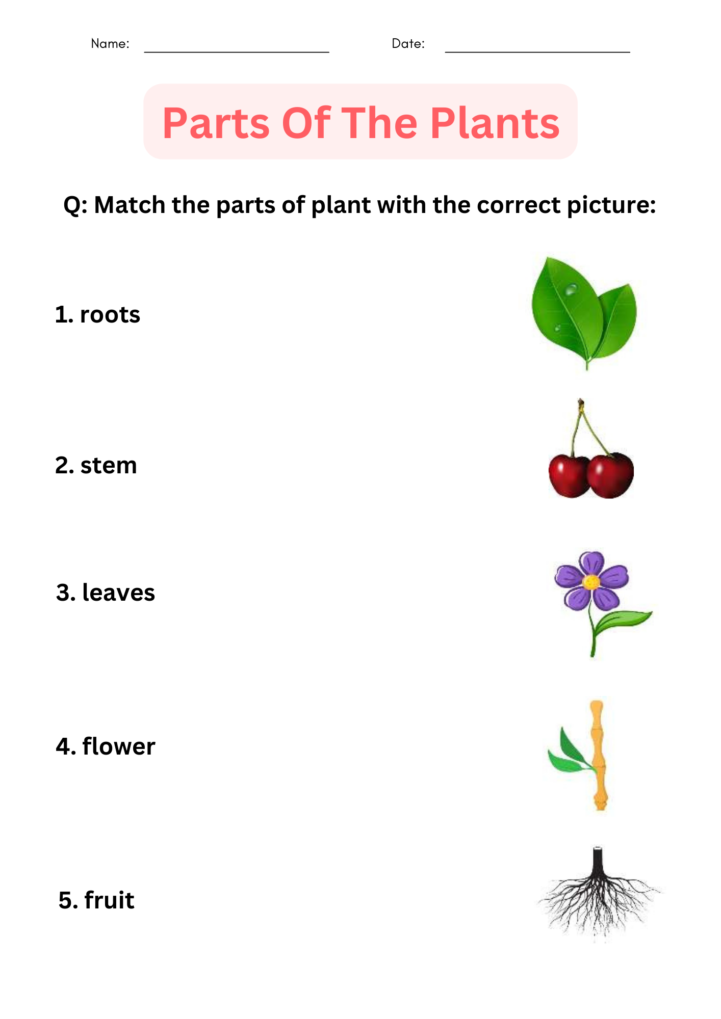 Parts Of A Plant Worksheet Free Worksheets Printable Parts Of A Plant Worksheet Free Worksheets Printable
