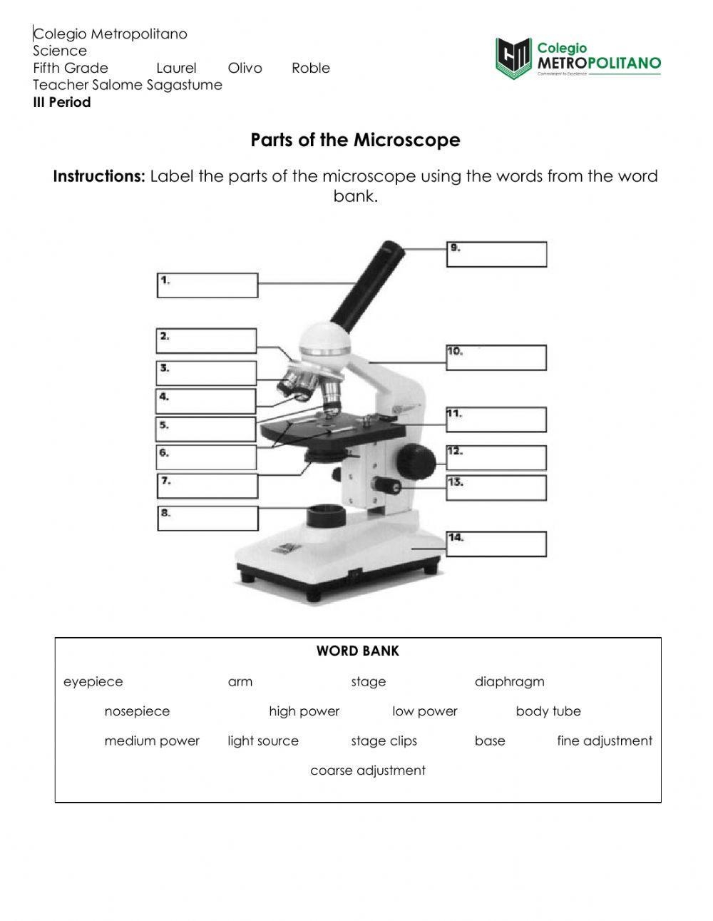 parts of a microscope worksheet