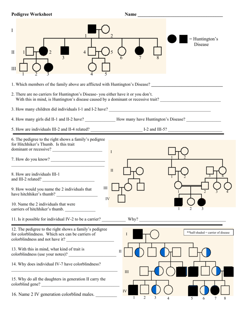 pedigree worksheet answers