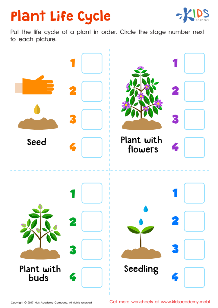 Plant Life Cycle Printable Free Worksheet PDF For Kids Answers And 
