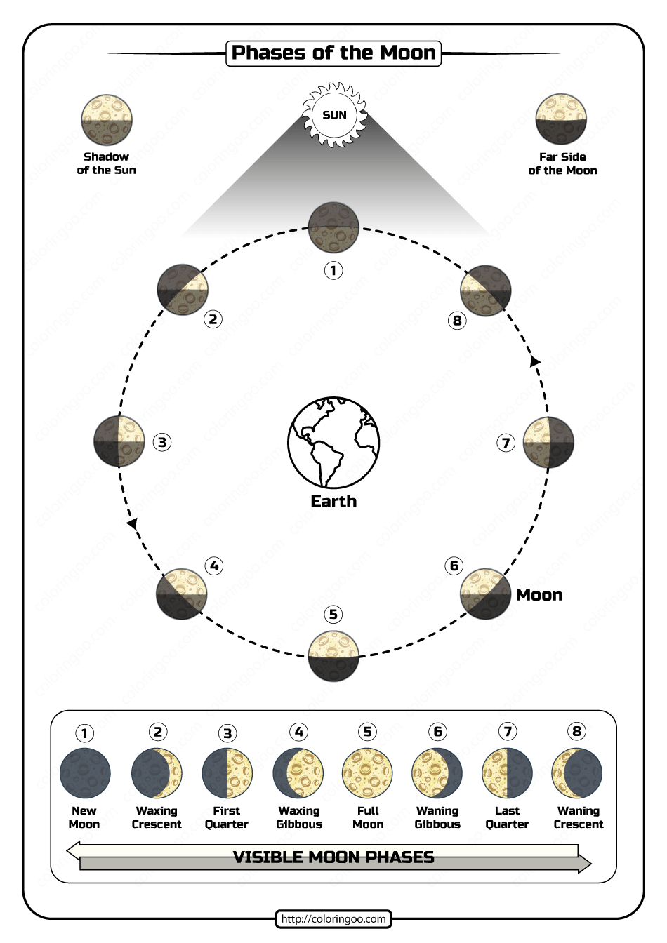 Printable Phases Of The Moon Worksheets Printable Word Searches