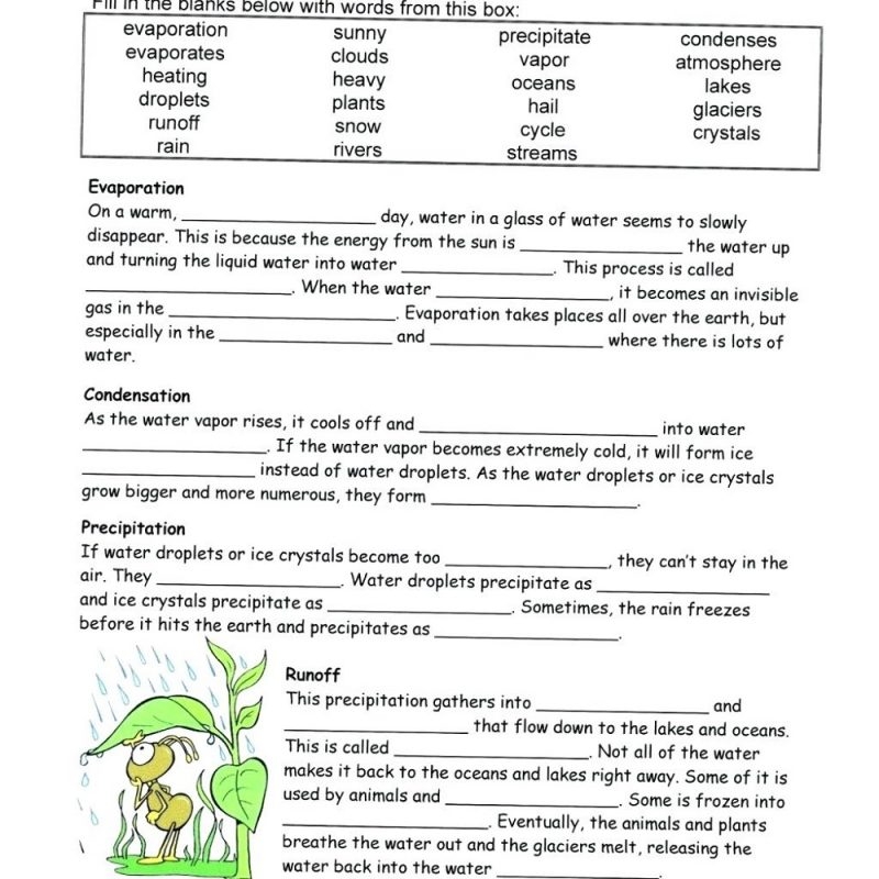 6th grade science worksheets 6th grade science worksheets