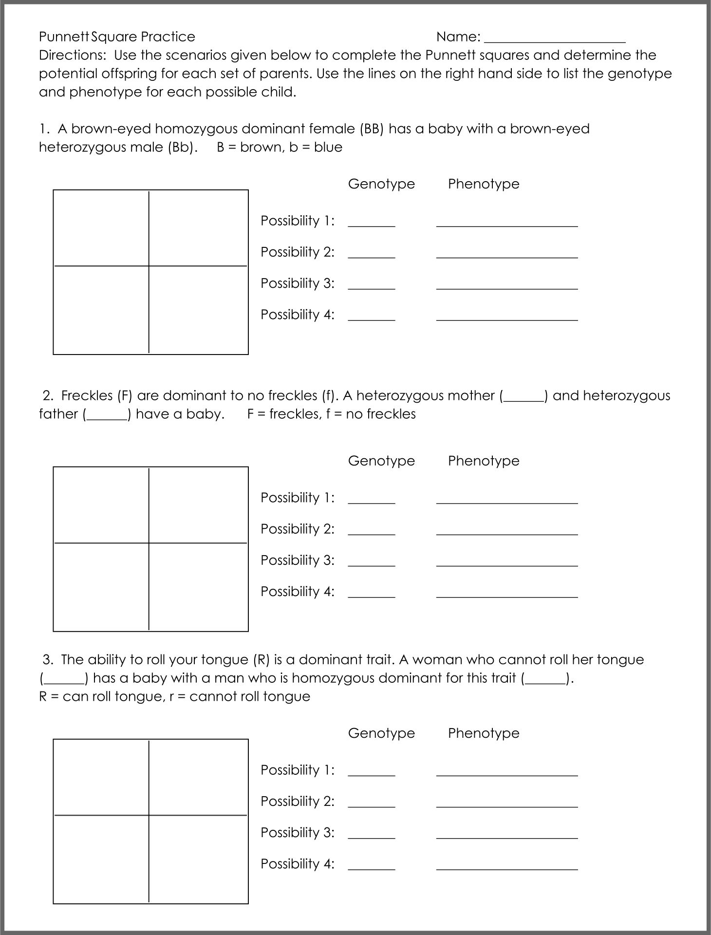 Punnett Square Worksheet PDF
