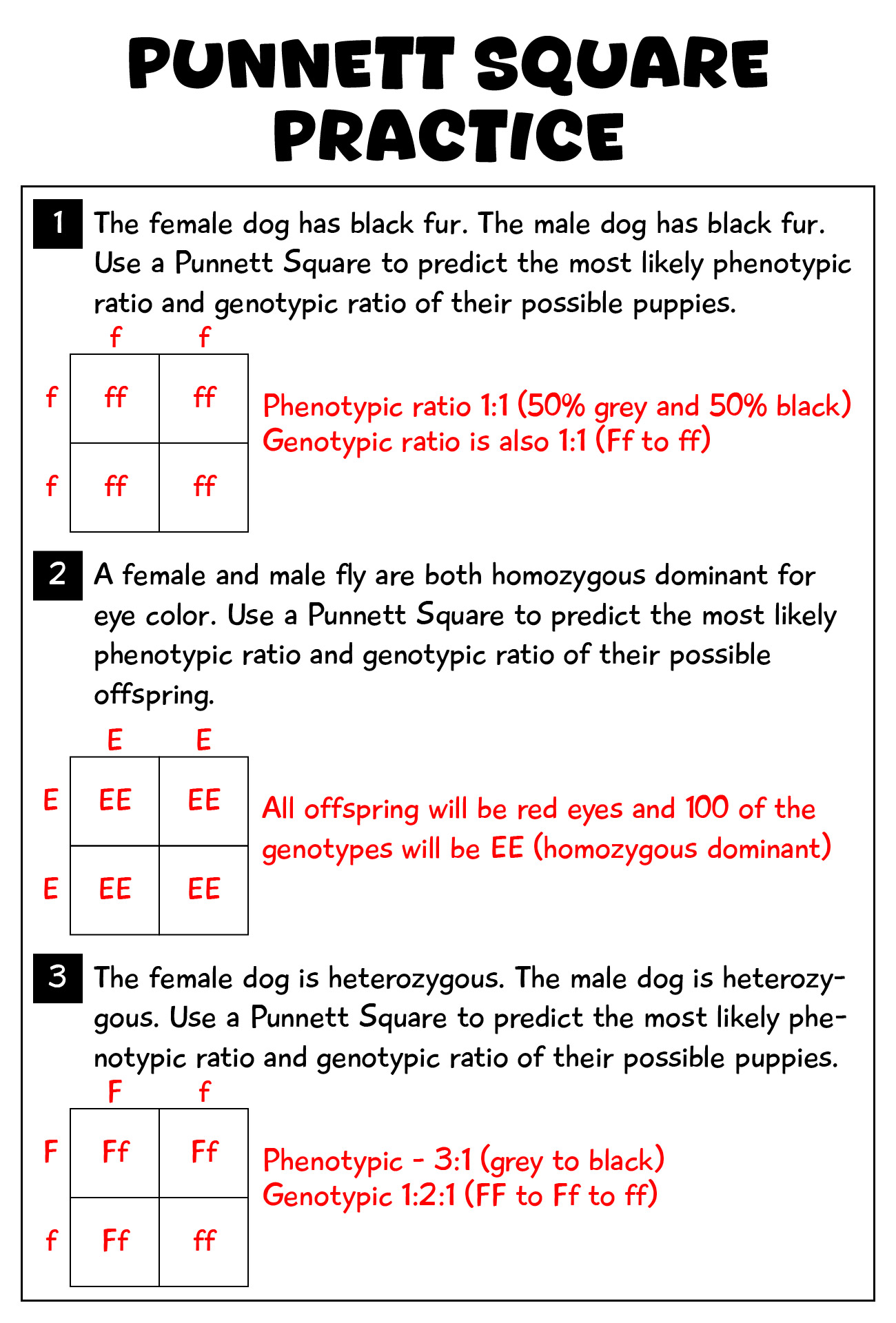 Punnett Square Worksheets 10 Free PDF Printables Printablee Punnett Square Worksheets 10 Free PDF Printables Printablee