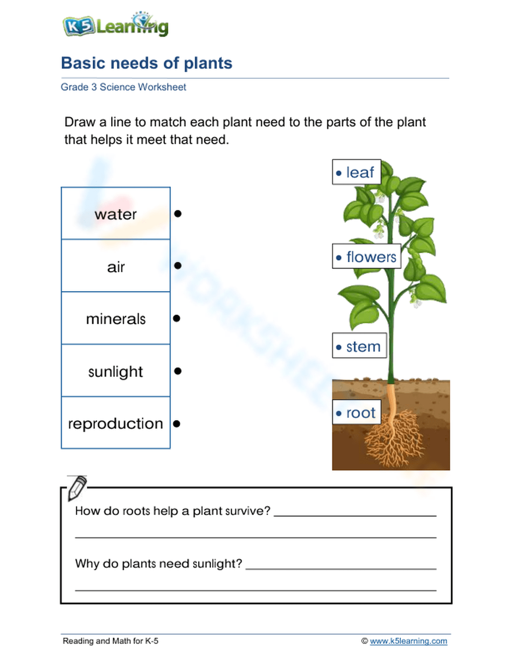 Science Worksheets For 3rd Grade Printable Science Worksheets For 3rd Grade Printable