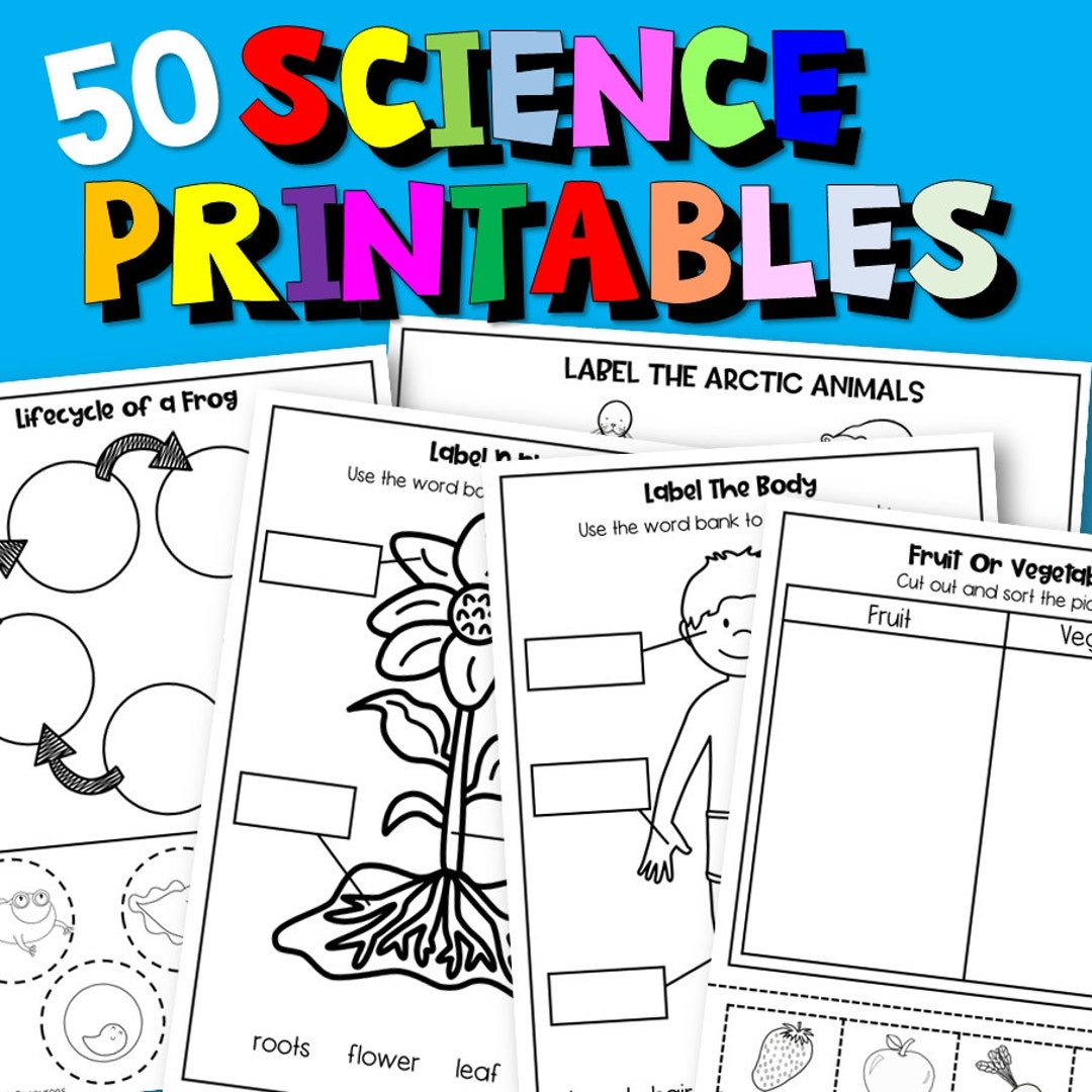 Science Worksheets For Kindergarten And Homeschool Etsy