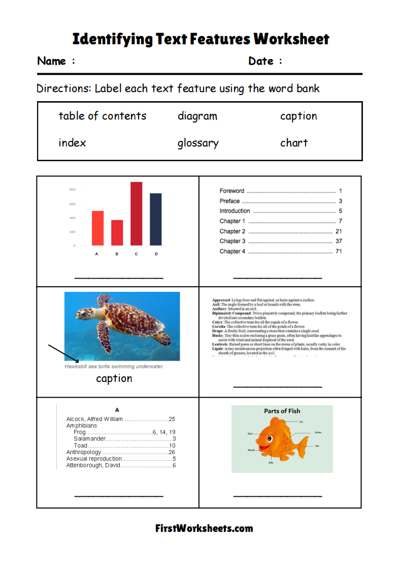 Text Features Worksheets FirstWorksheets Text Features Worksheets FirstWorksheets