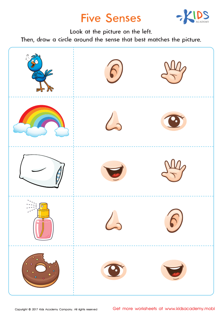 The 5 Senses Worksheets Free Printables