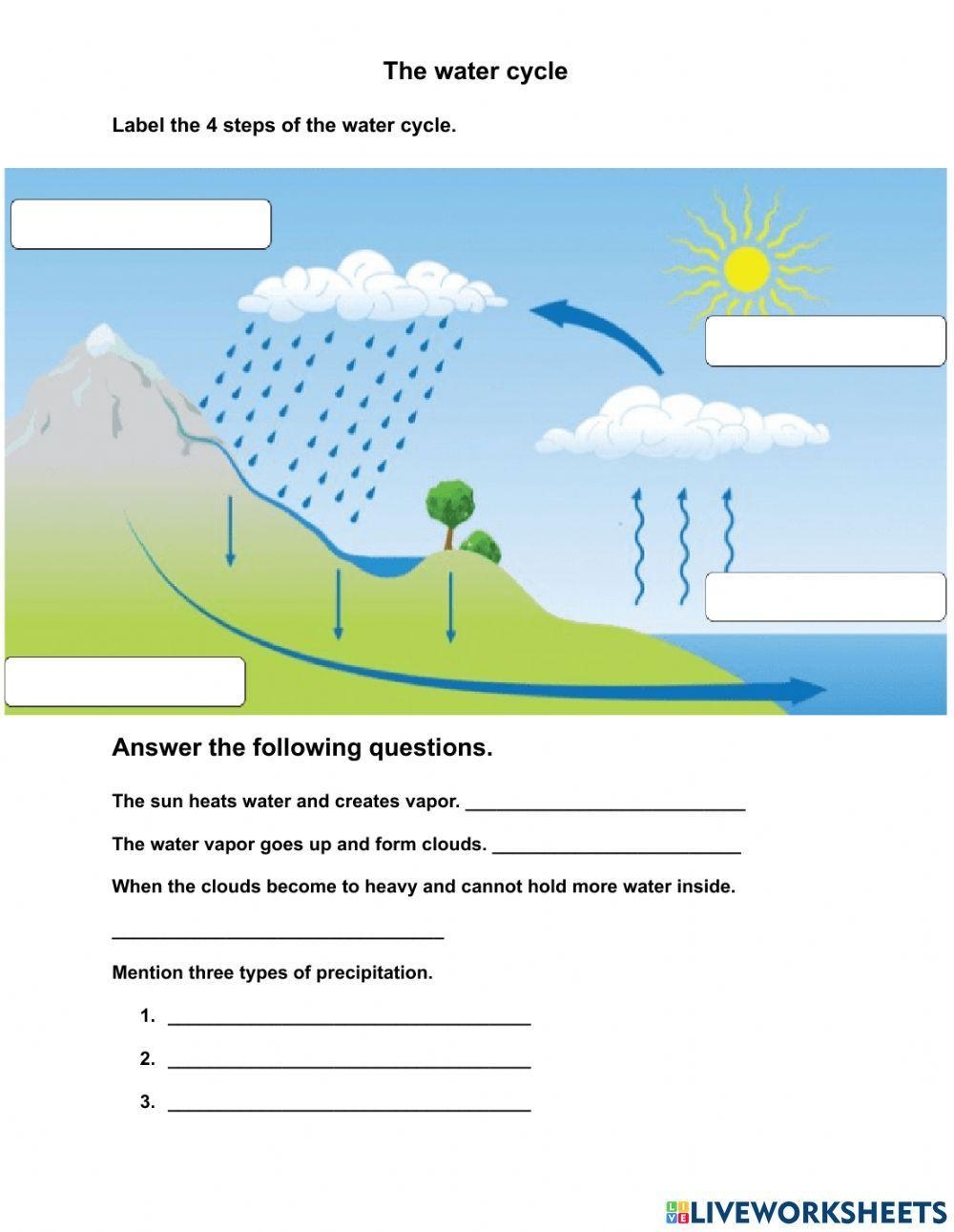 The Water Cycle Worksheet Printable And Distance Learning 