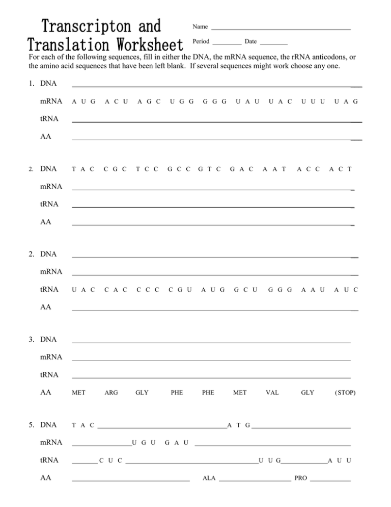 biology transcription and translation worksheet biology transcription and translation worksheet