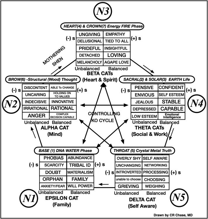 What Is Acupuncture Geometry Worksheet Answers Printable And What Is Acupuncture Geometry Worksheet Answers Printable And