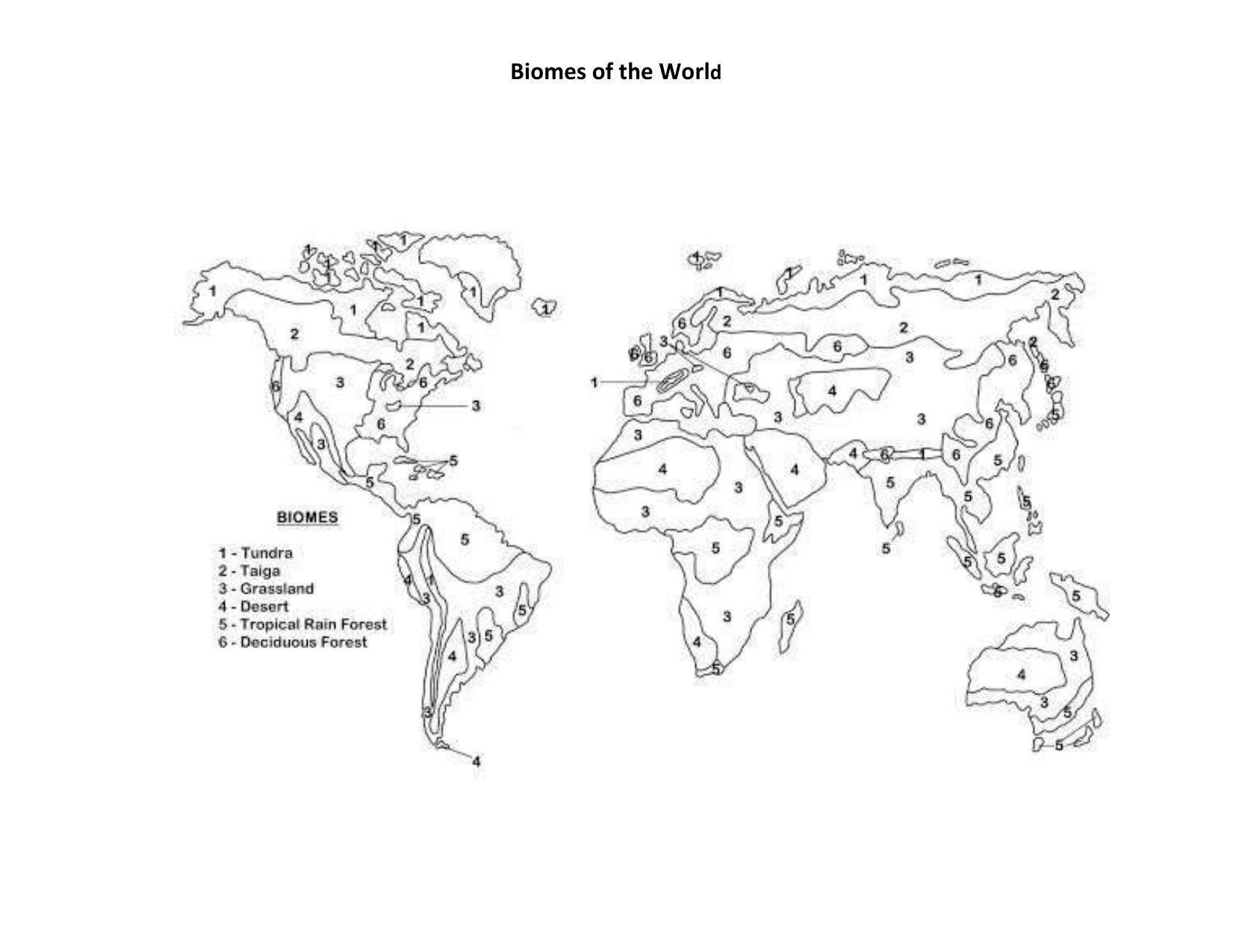 World Biome Map Coloring Worksheet Worksheets For Home Learning World Biome Map Coloring Worksheet Worksheets For Home Learning